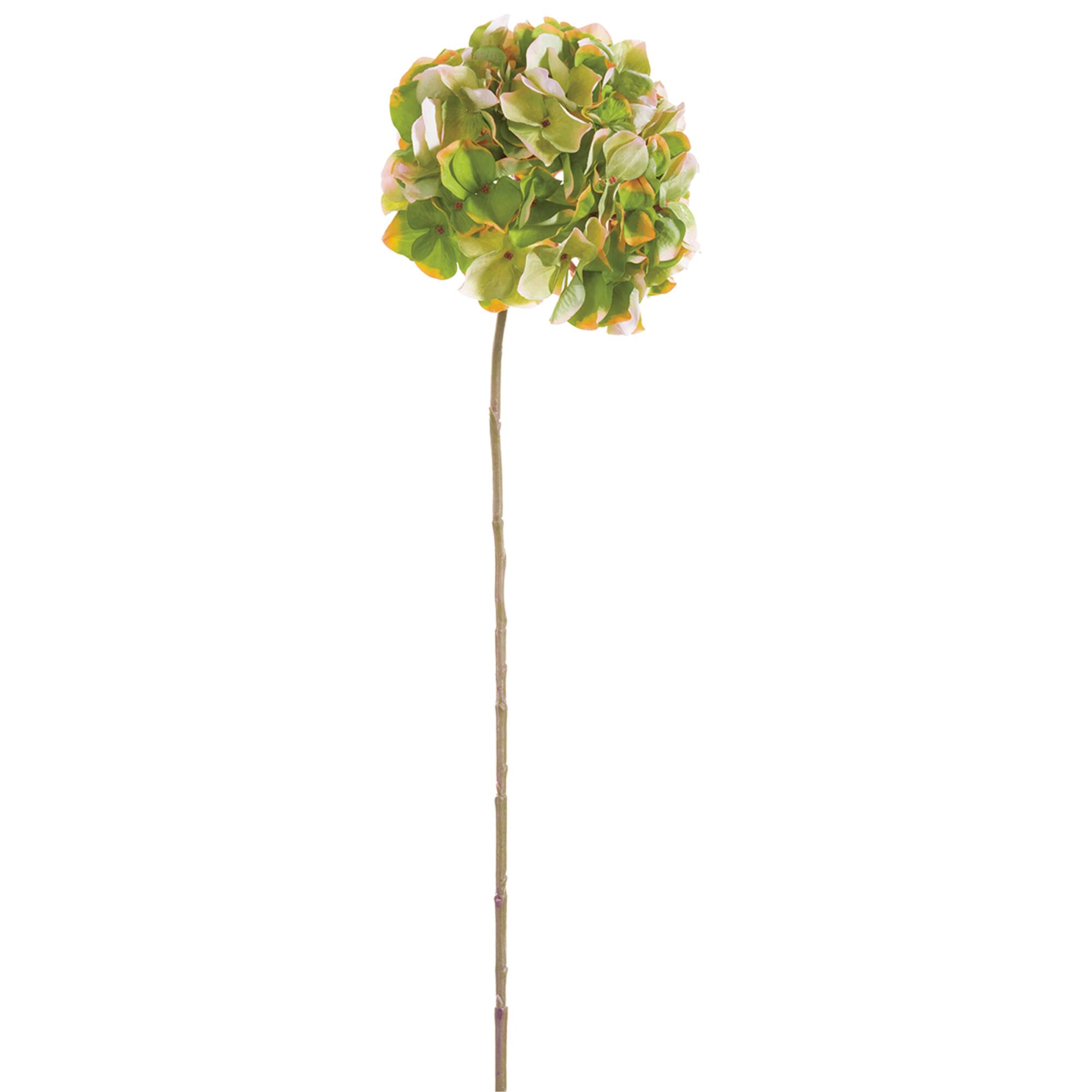 Green & Lavender Hydrangea Stem